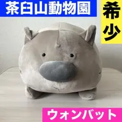 2025年最新】茶臼山動物 ウォンバットの人気アイテム - メルカリ