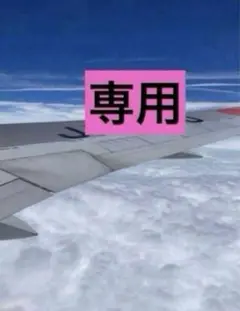 専用