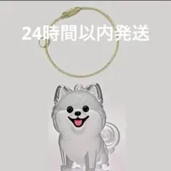 犬の毛　ポメラニアン キーホルダー 犬型 犬 遺毛 ケース うちの子　けだまだま