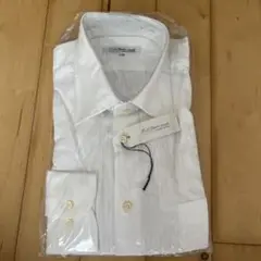 Item thumbnail for item 1baa9564-d706-4ed5-a3a5-054c4d0fc5ec