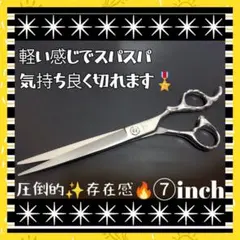 Item thumbnail for item 13f6a735-146e-450c-947b-5b654ba394cb