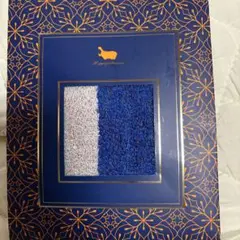 Item thumbnail for item b2ea3a49-5fcd-42f0-a9e5-83027b14ca1e