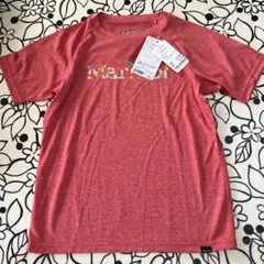 マーモット　ドライTシャツ