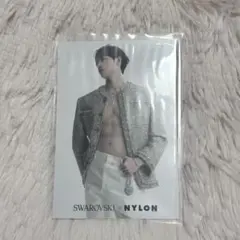 StrayKids バンチャン スワロフスキー　NYLON ポストカード　②