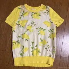 ケイトスペード　シルク　綿ニット　36 トップス　美品　レモン