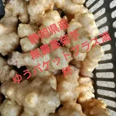 静岡県産無農薬菊芋ゆうパケットプラス入るだけ