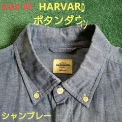 HARVARD　ボタンダウン　シャンブレー　ジェイプレス　VAN Mサイズ