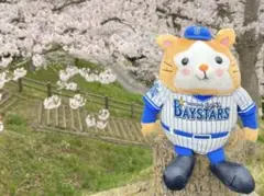 Item thumbnail for item b53fed31-8efe-4ed1-9cdd-e296ebbd1a85