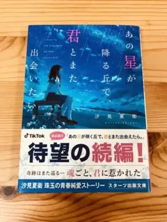 あの星が降る丘で、君とまた出会いたい。