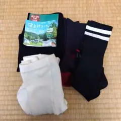 Item thumbnail for item c9c24c51-34b9-490f-99b0-bf9359fdeeed