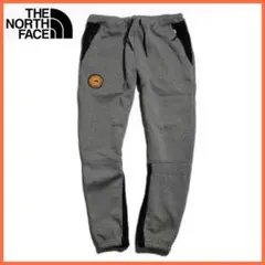 【希少】THE NORTH FACE ノースフェイス ロングパンツ グレー