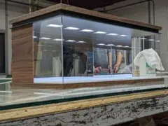 Item thumbnail for item 7808a50d-682d-4e59-bb98-746e1aa50670