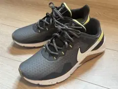 Nike Legend Essential 2 (26.5cm)