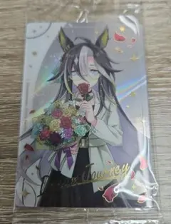 ウマ娘　ウエハース　ドリームジャーニー　まとめ買い歓迎!!