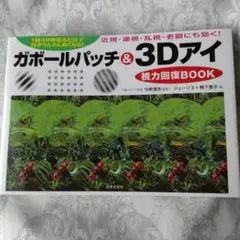 ガボールパッチ&3Dアイ視力回復BOOK 1回30秒見るだけで目がぐんぐん良く…
