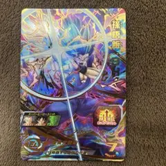 Item thumbnail for item 8c203d4a-e1d1-4163-82f4-4cf17918b055