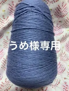 海外輸入毛糸Frangipani 5ply ガンジーヤーン コーン巻 ラベル無し