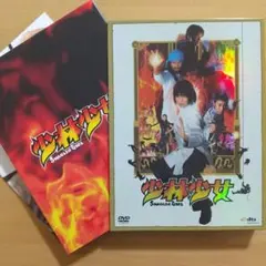 DVD 少林少女〈2枚組〉柴咲コウ 仲村トオル 江口洋介 岡村隆史