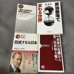 経済 国際政治 本 4冊セット 浜矩子 ケビンメア 山内昌之 国際情勢