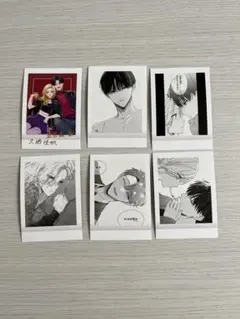 踏んだり、蹴ったり、愛したりパシャこれ 6枚セット