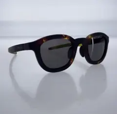 Eyevol RYSⅡサングラス アイヴォル MDM-LY-PL