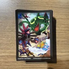 ポケカ バトルカーニバル2012 スプリング 限定 デッキシールド