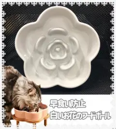 Item thumbnail for item 1415d107-e6fe-40a4-9e22-7bf52c899195