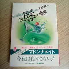 凌辱の魔界 ／友成純◇マドンナ社（USED/送料無料）帯付き・カバー有