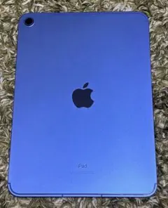 美品ipad第10世代/64GB/wifi+Cellularモデル/本体