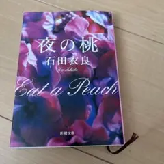 夜の桃 中古