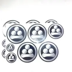 家紋ステッカー【丸に渡辺星】(2シート入り)Ｇタイプ =屋外仕様=
