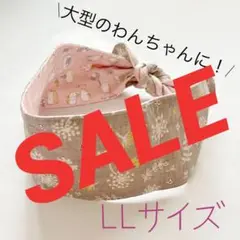 Item thumbnail for item dab705a4-51fe-4a8f-a815-c97e8d73d687