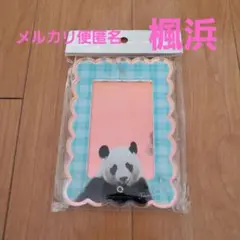 アドベンチャーワールド　チェキフレーム　楓浜
