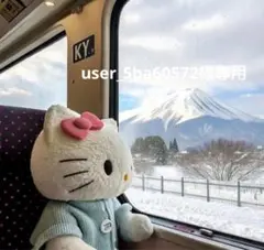 user_5ba60572様專用