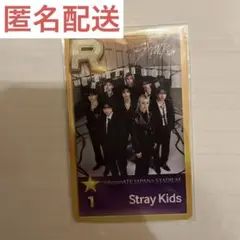 Stray Kids スキズ dominATE シュスジェ オール トレカ