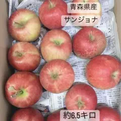 1箱しかありません! 青森 りんご 小玉 約6.5キロ