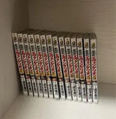 エヴァンゲリオン 全14巻セット