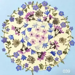 押し花 039 忘れな草 矢車菊 ゼラニウム ブラックレースフラワー バーベナ