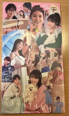高山一実　髙山でごめん　生写真ケース