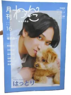 月刊 wanko vol.16　表紙巻頭特集：はっとり（マカロニえんぴつ）