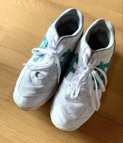 Item thumbnail for item db600485-e9ae-4090-943e-768651ee60ae