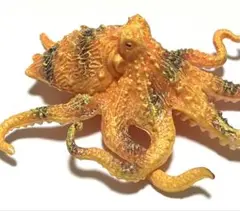 ヒョウモンダコ　蛸　フィギュア