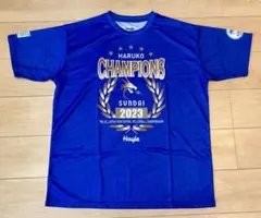 春高バレー記念Tシャツ完売レッド デサント 完売品【春高バレー記念Tシャツ】 - メルカリ