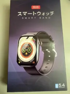 2.08インチ超大画面＆Bluetooth5.4 最新型 スマートウォッチ 通話