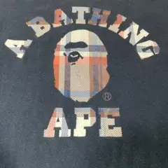 90s A BATHING APE Tシャツ　Burberry