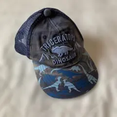TRICERATOPS 恐竜柄メッシュキャップ　53-55cm