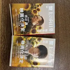 盤上の向日葵