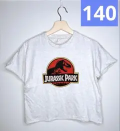 ジュラシックワールド Tシャツ 140 半袖