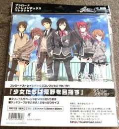 少女たちは荒野を目指す ストレージ カードボックス