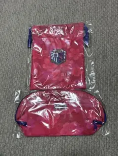 セレッソ　大阪　レディース